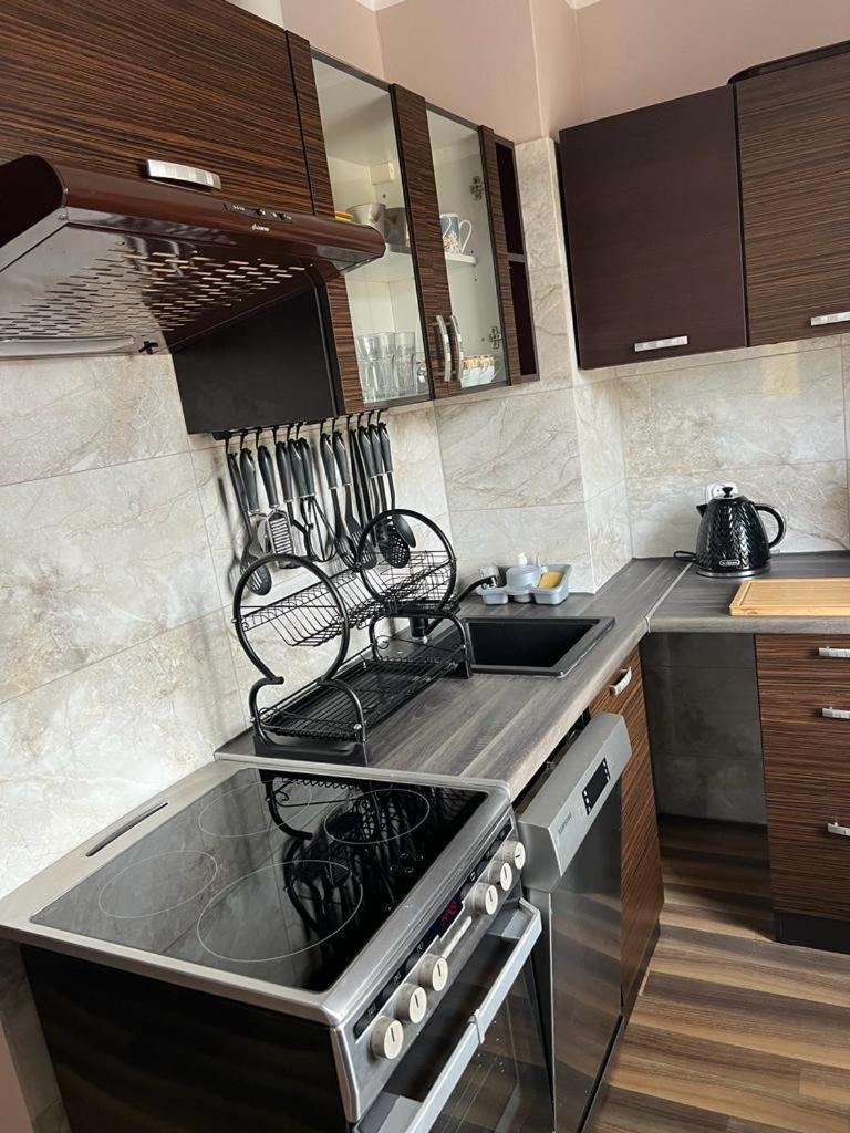 Apartament "U Oli" Lądek-Zdrój Zewnętrze zdjęcie